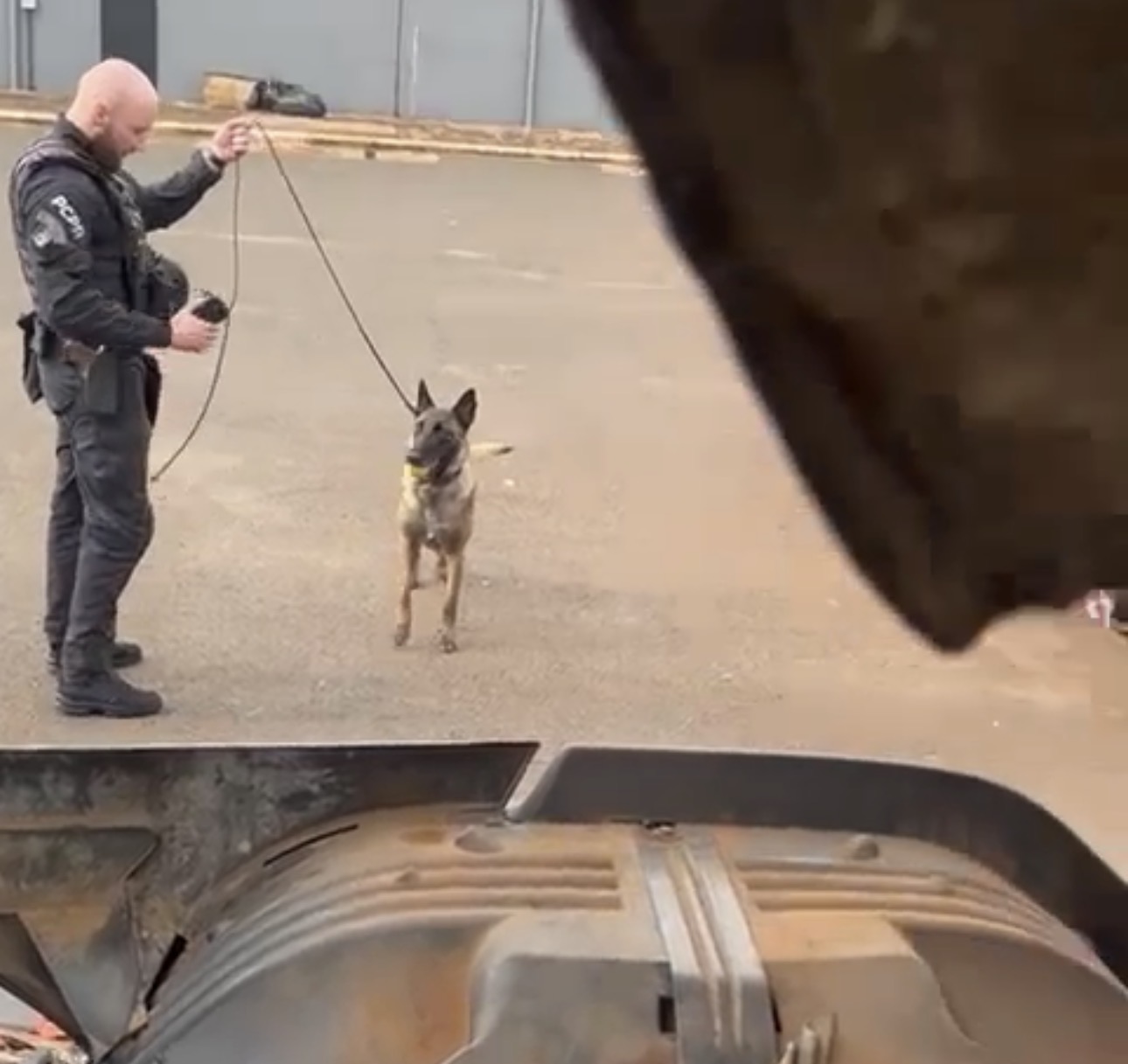 Polícia Civil apreende cocaína escondida em cabine de caminhão na BR-277