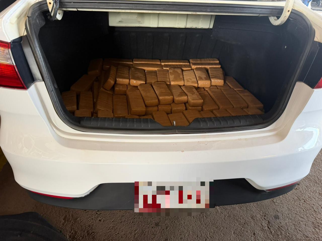 Receita Federal apreende mais de 124 kg de maconha na Ponte da Amizade com apoio do cão K9 Daphine