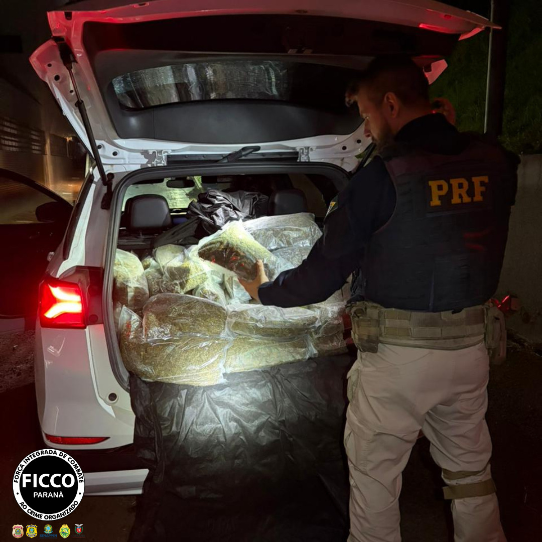 FICCO apreende 255 kg de capulho e carro furtado na BR-277
