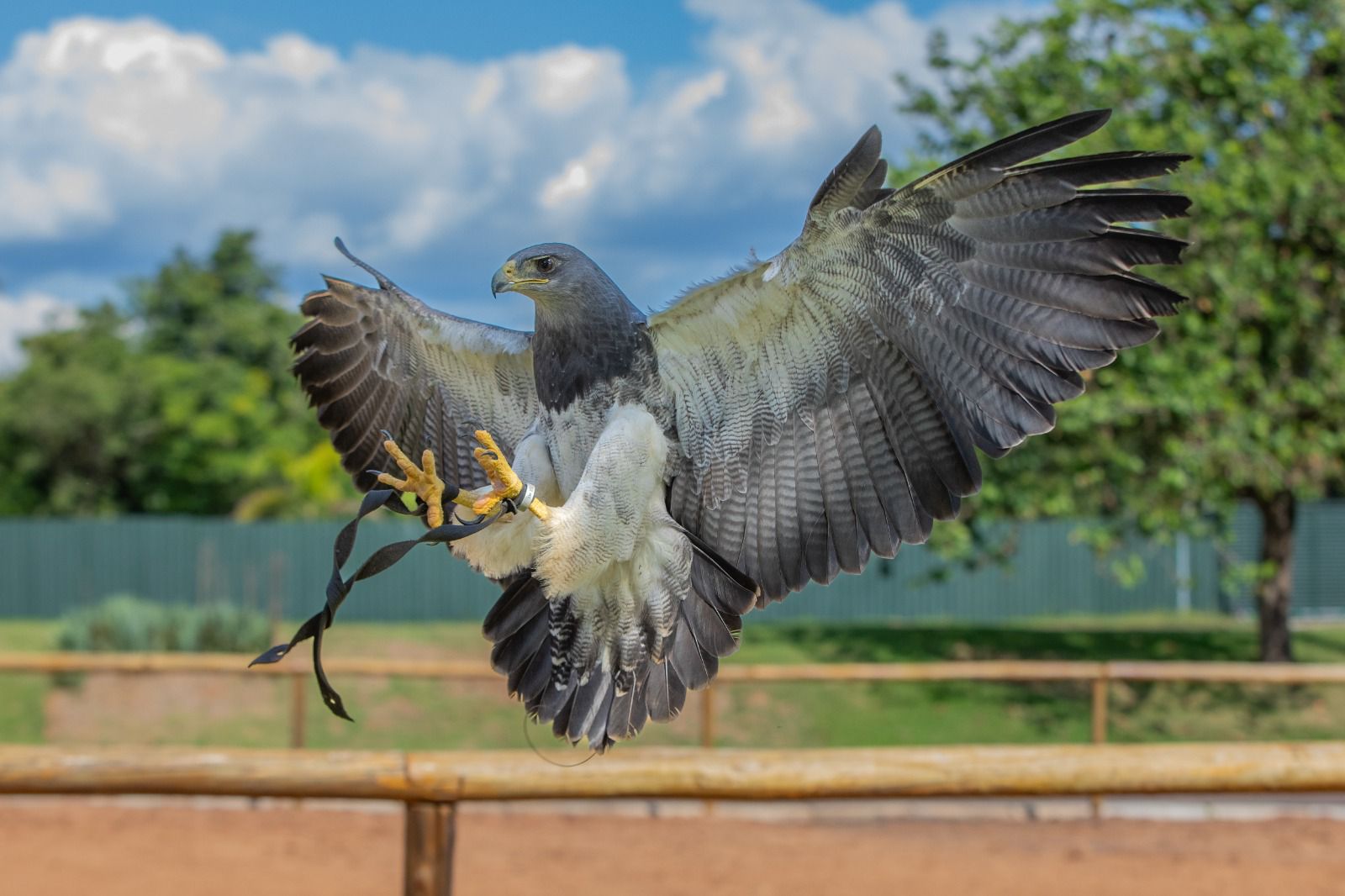 Zoo Park Foz: Eco Park Foz ganha nova identidade e lança promoção especial para moradores