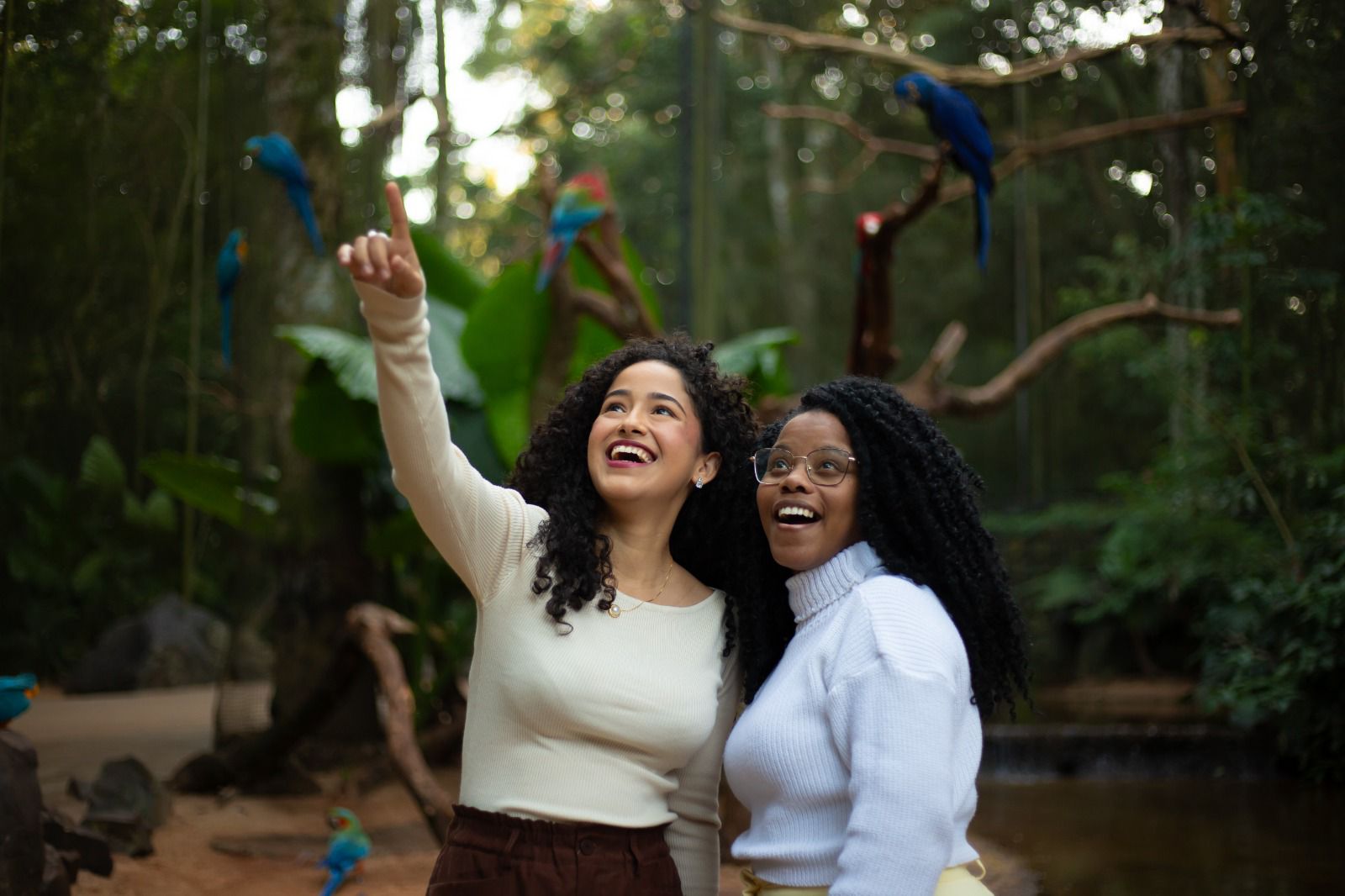 Parque das Aves terá entrada gratuita para moradores de Foz do Iguaçu durante aniversário da cidade