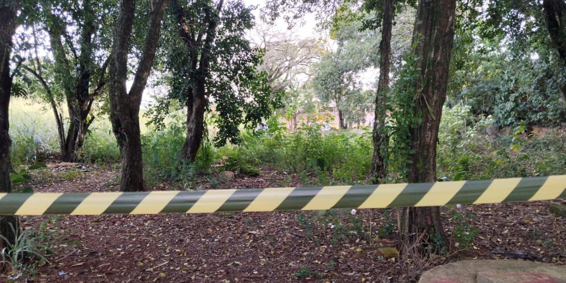 Mulher é encontrada morta em área de mata no Portal da Foz; Polícia Civil apura circunstâncias do caso