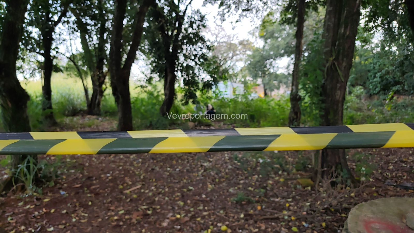 Atualização de uma tragédia: Polícia investiga morte brutal de adolescente encontrada em terreno baldio em Foz do Iguaçu