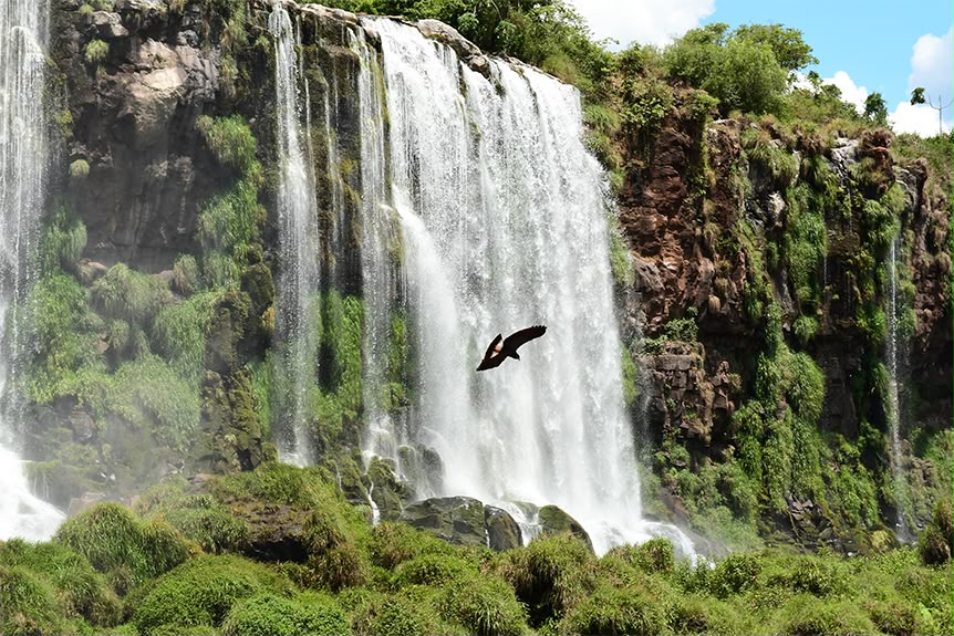 Foz do Iguaçu registra alta na procura por turistas e reforça posição entre os principais destinos do Brasil