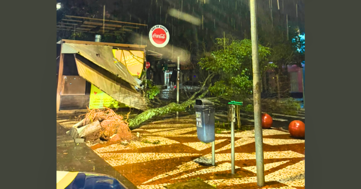 Chuva acima de 100 mm provoca alagamentos e queda de árvores em Foz do Iguaçu