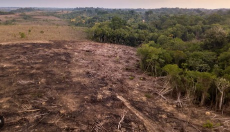 PF realiza operação contra grupo investigado por devastar mais de 10 mil hectares na Amazônia
