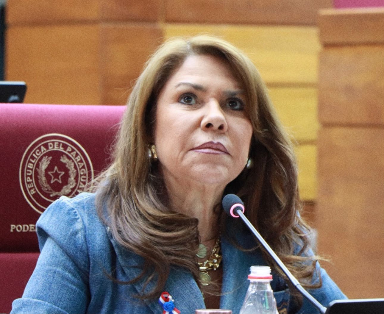 Deputada paraguaia acusa Brasil de “invadir” e usar o Chaco como pasto para gado