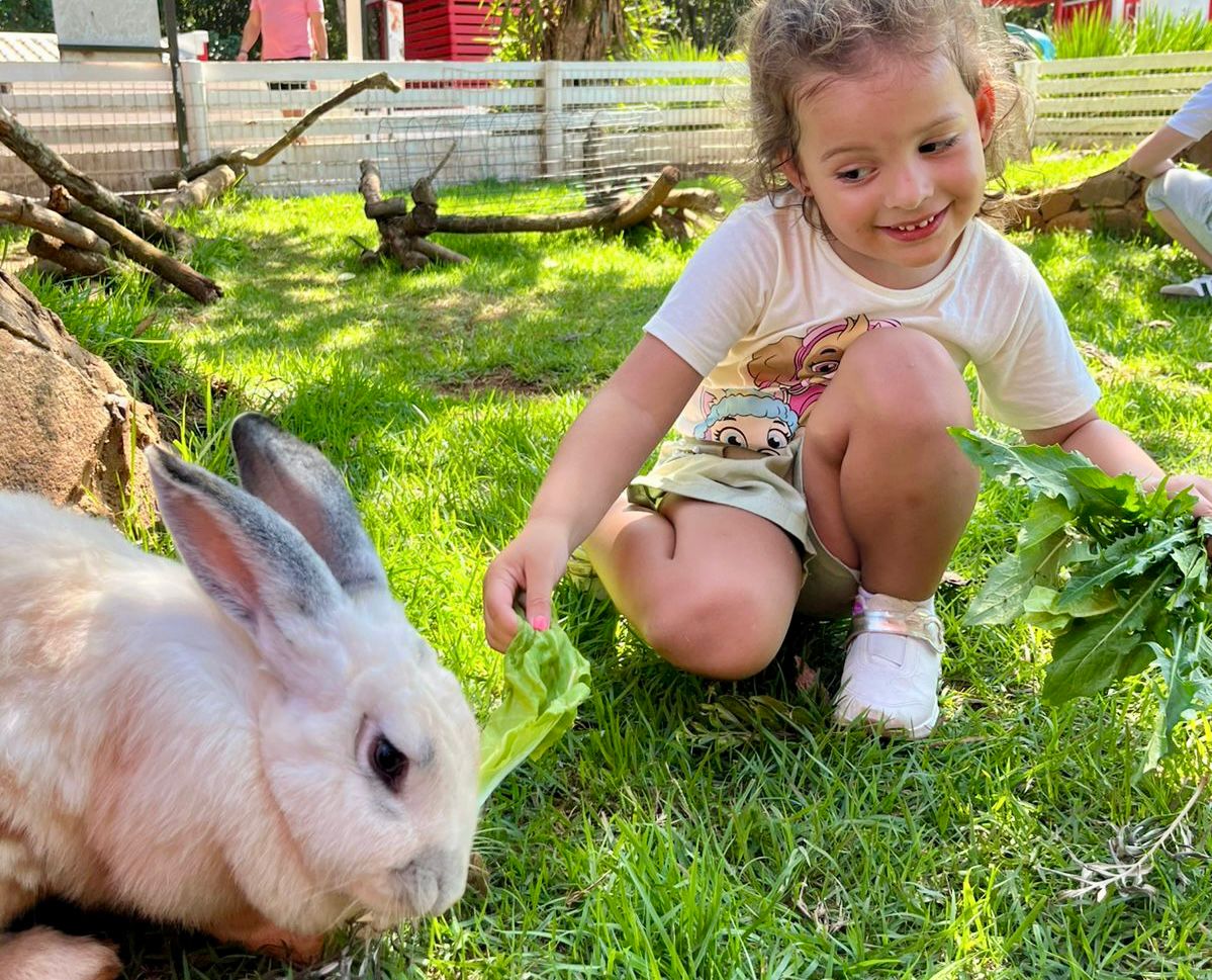 Criança alimenta coelho na Fazendinha do Eco Park Foz, espaço interativo para famílias em Foz do Iguaçu