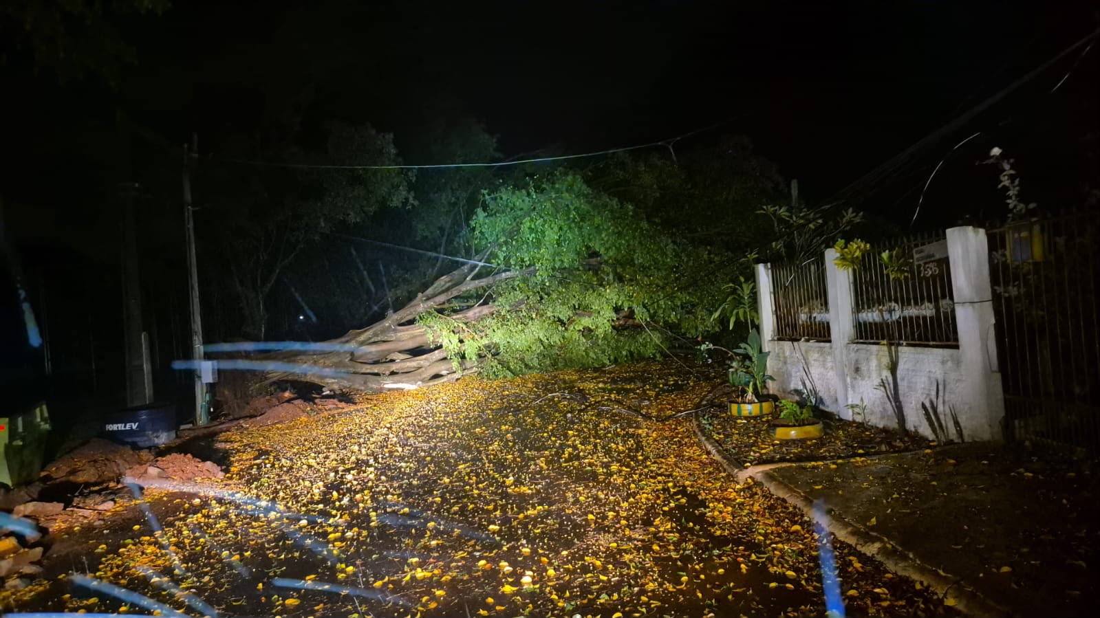 vendaval em Foz do Iguaçu